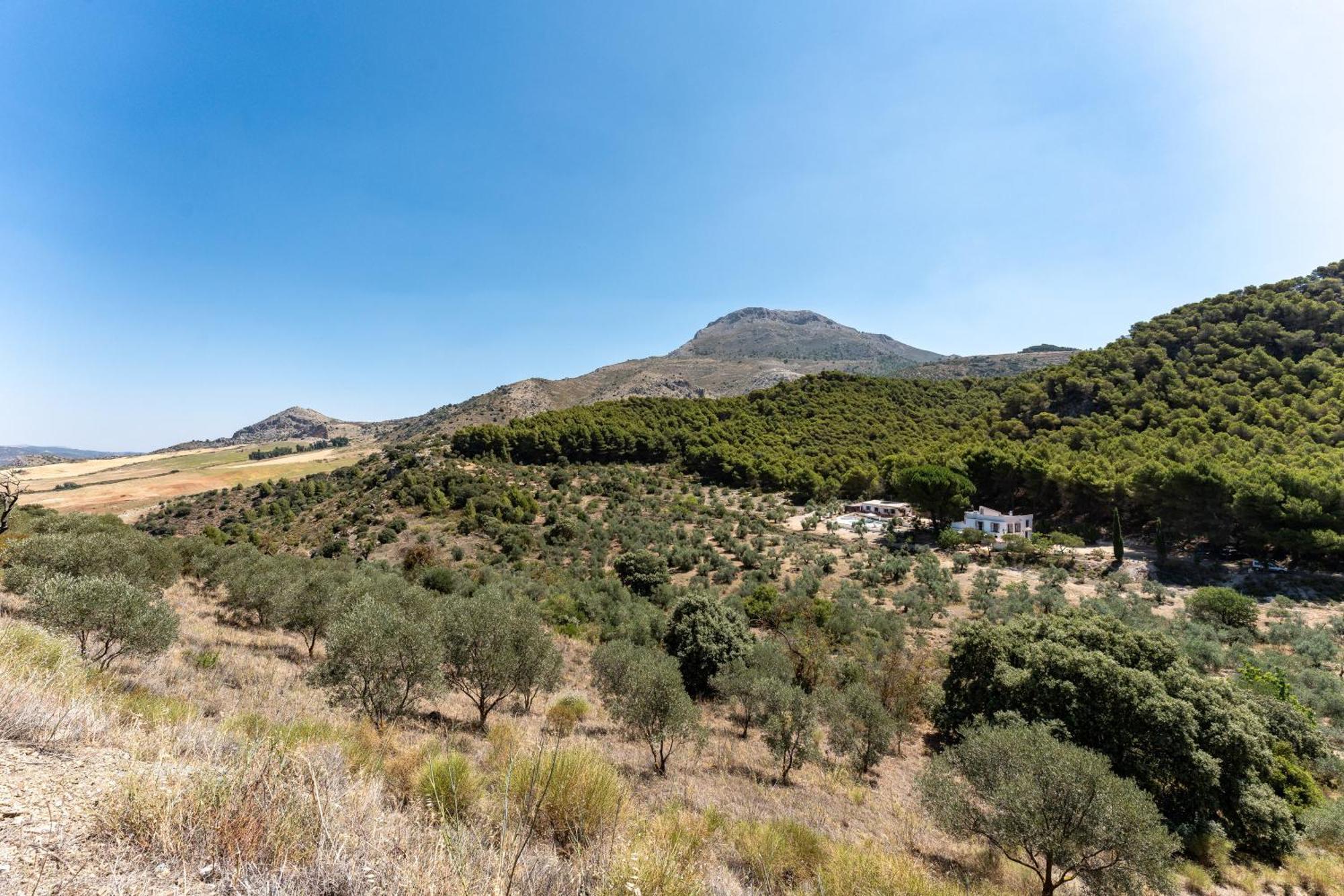 Cortijo La Zahurdilla Yunquera Екстер'єр фото